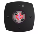 Aqua Illumination Prime 16 LED Fuge Light - Black Body